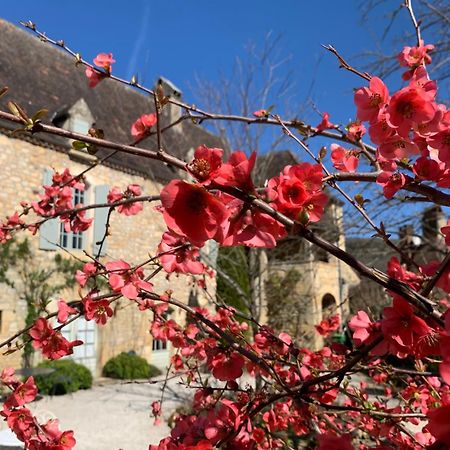 La Tour De Cause Bed & Breakfast Castelnaud La Chapelle Luaran gambar