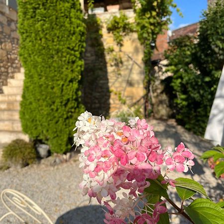 La Tour De Cause Bed & Breakfast Castelnaud La Chapelle Luaran gambar