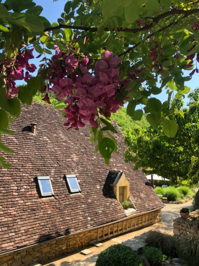 La Tour De Cause Bed & Breakfast Castelnaud La Chapelle Luaran gambar