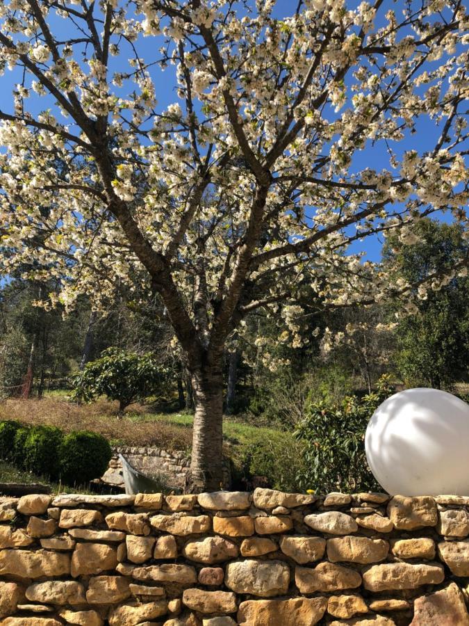 La Tour De Cause Bed & Breakfast Castelnaud La Chapelle Luaran gambar