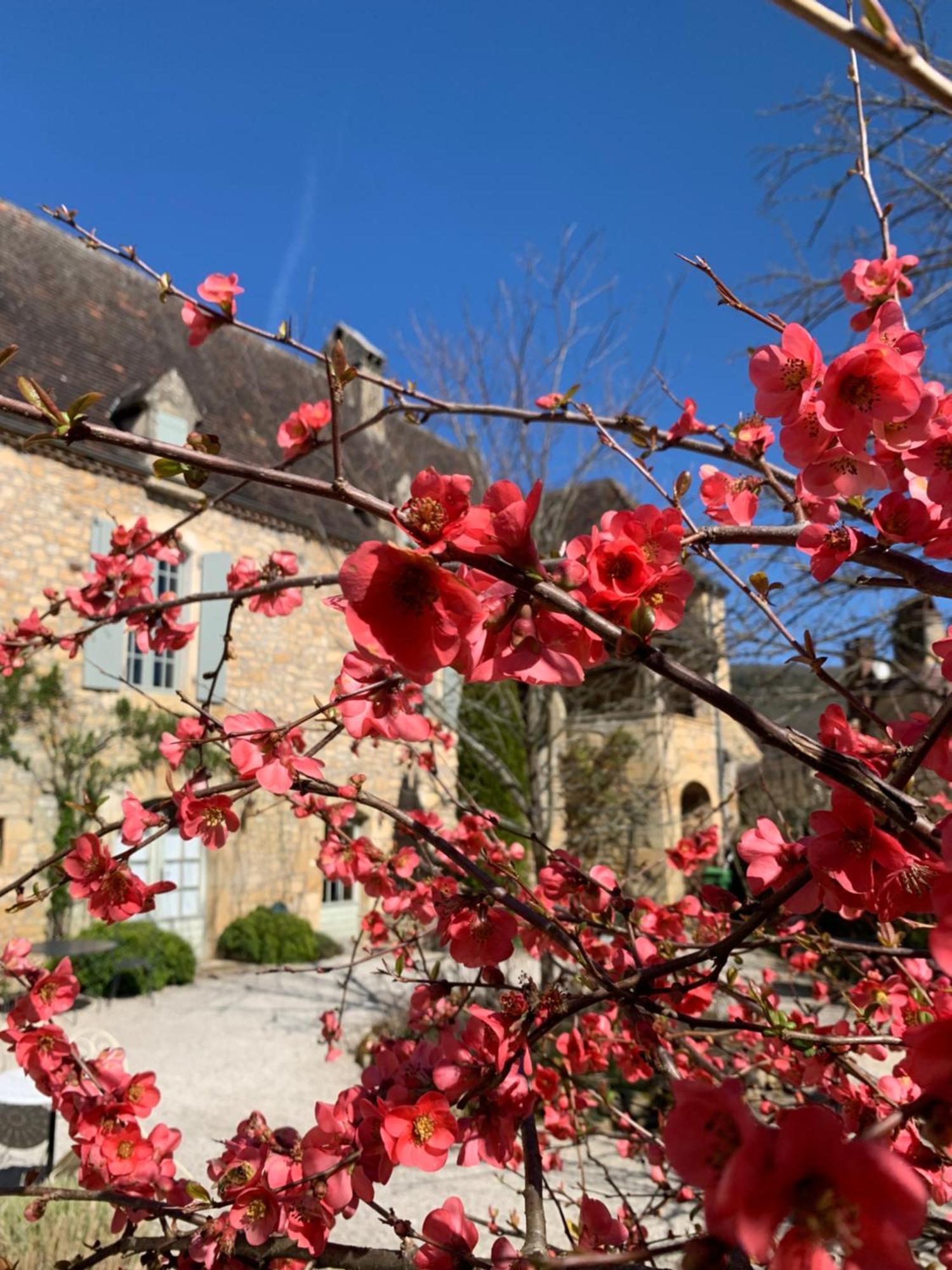 La Tour De Cause Bed & Breakfast Castelnaud La Chapelle Luaran gambar