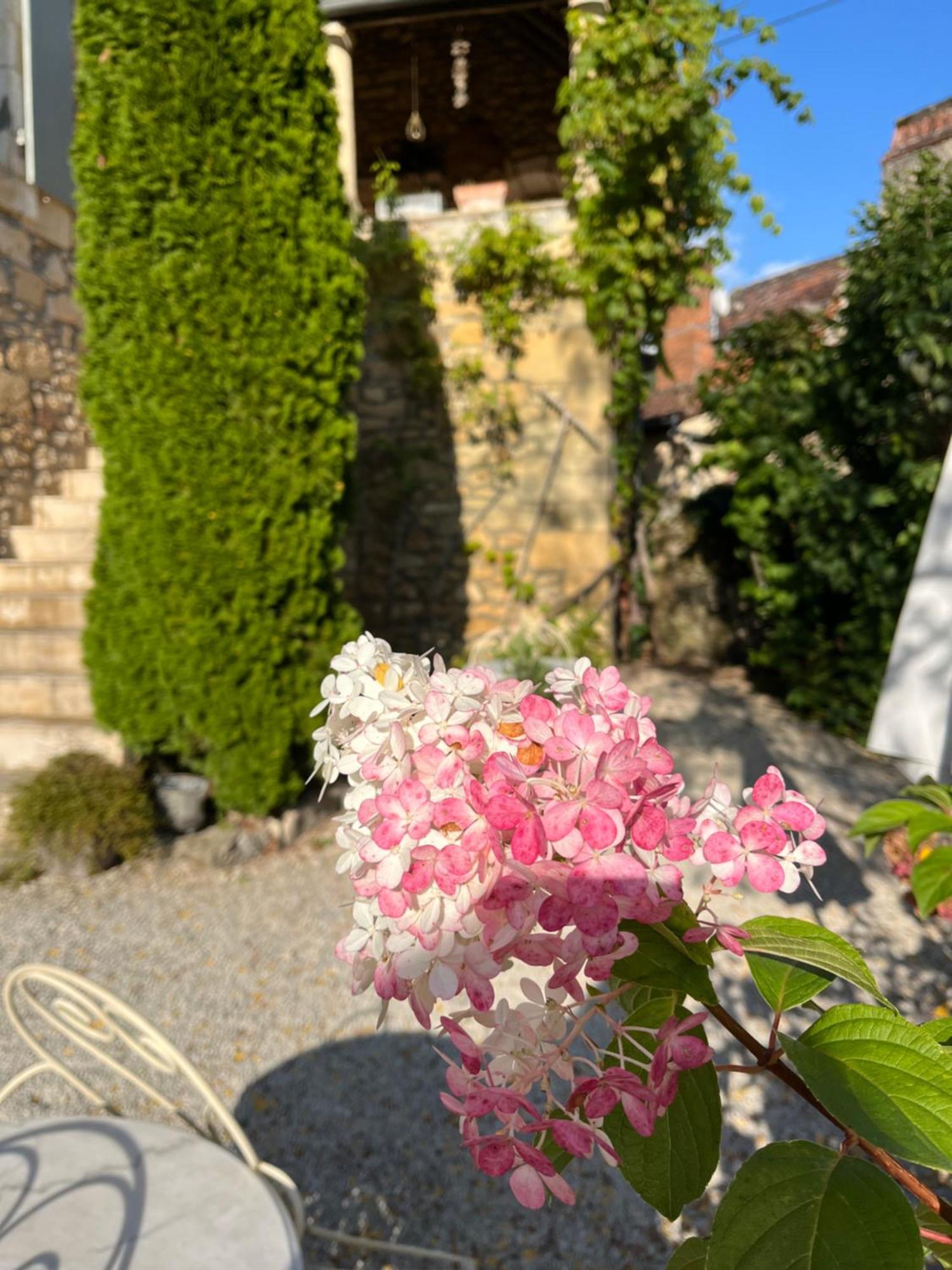 La Tour De Cause Bed & Breakfast Castelnaud La Chapelle Luaran gambar