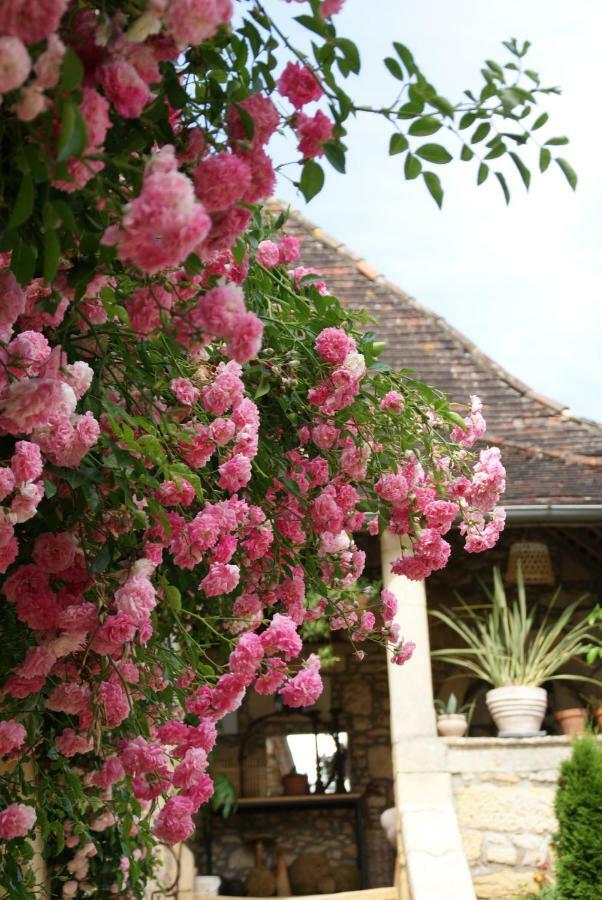 La Tour De Cause Bed & Breakfast Castelnaud La Chapelle Luaran gambar